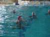 dsc01255_small.jpg