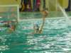 dsc01261_small.jpg