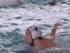 dsc01263_small.jpg