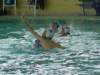 dsc01264_small.jpg