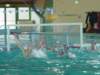 dsc01270_small.jpg
