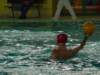dsc01271_small.jpg