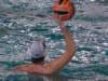 dsc01297_small.jpg