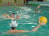 dsc01327_small.jpg