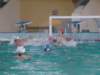 dsc01329_small.jpg