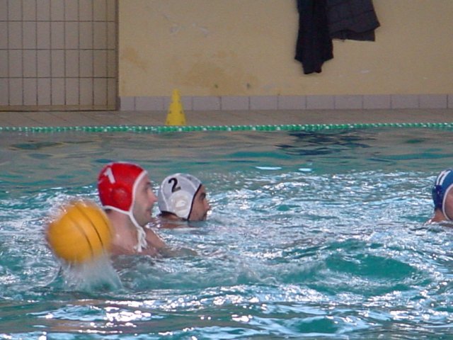 dsc01331.jpg