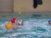 dsc01331_small.jpg