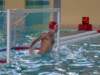 dsc01360_small.jpg