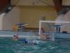 dsc01370_small.jpg